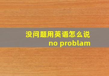 没问题用英语怎么说no problam